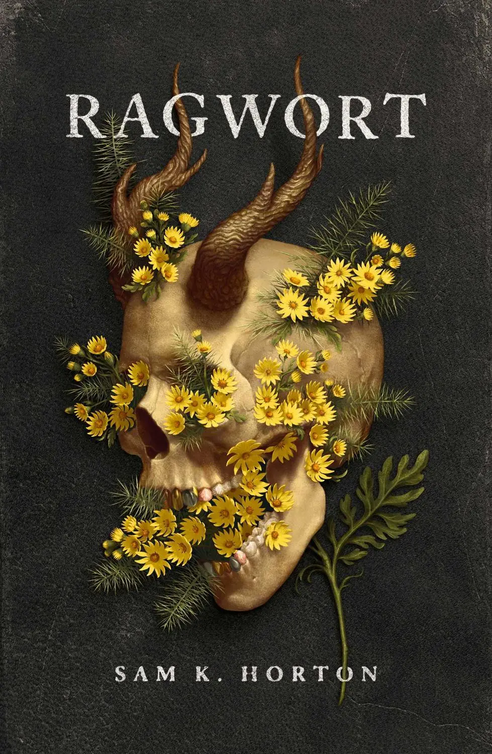 Ragwort: Volume 2