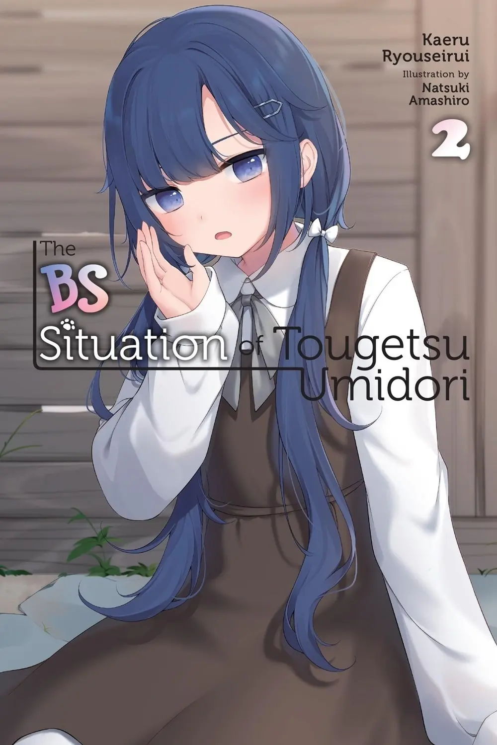 The BS Situation of Tougetsu Umidori, Vol. 2 (light novel)
