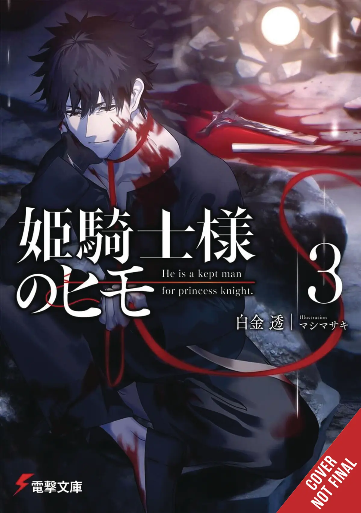 Kept Man of Princess Knight vol. 3 (Light Novel)