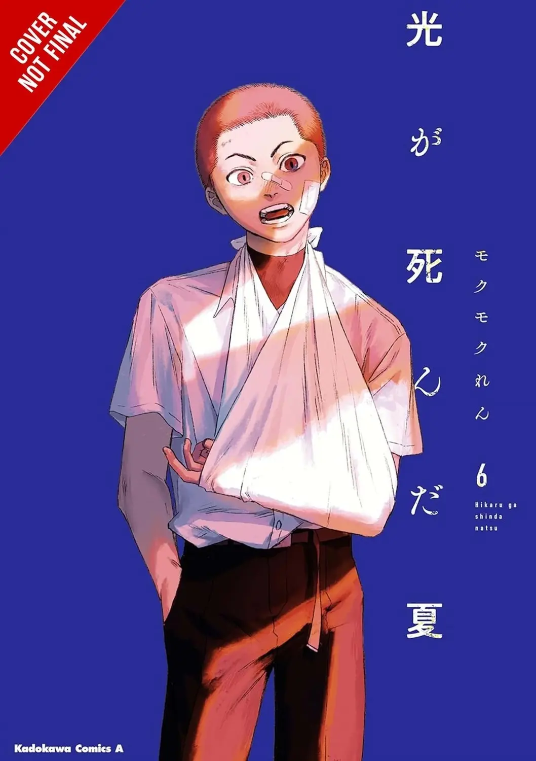 Summer Hikaru Died Vol. 06