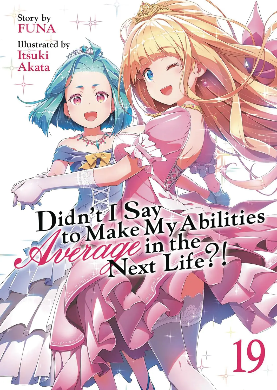 Didnt I Say Make Abilities Average Vol. 19 (Novel)
