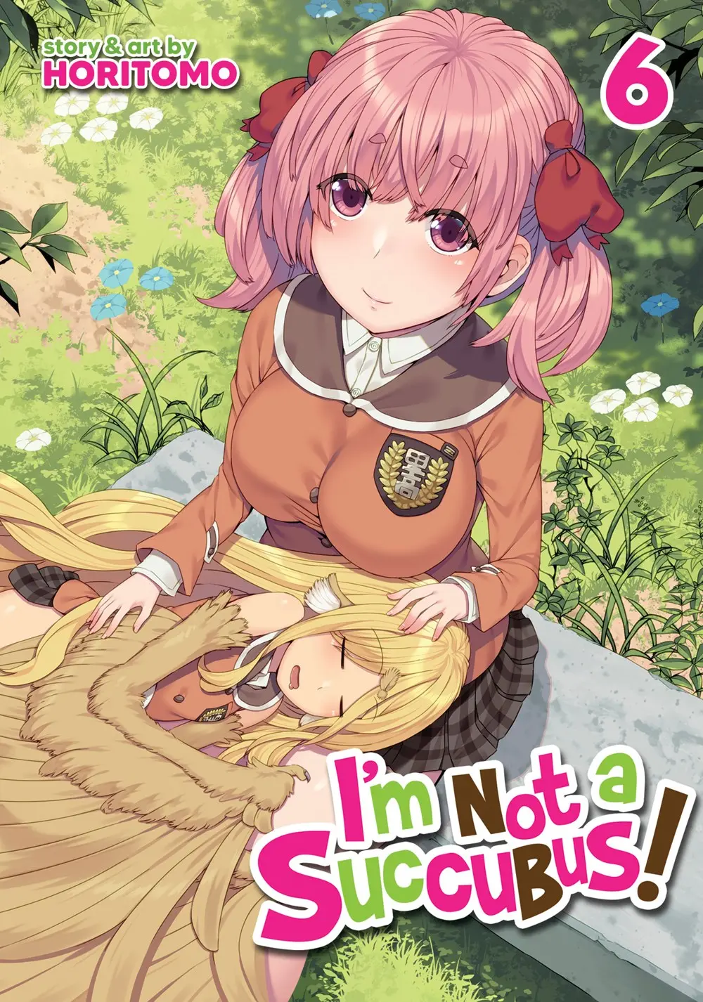 I Am Not a Succubus Vol. 06