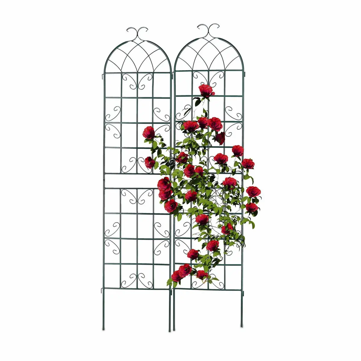 Trellis 220 cm sett med 2 grønne