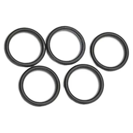 Gasket For Ergopump 5pc