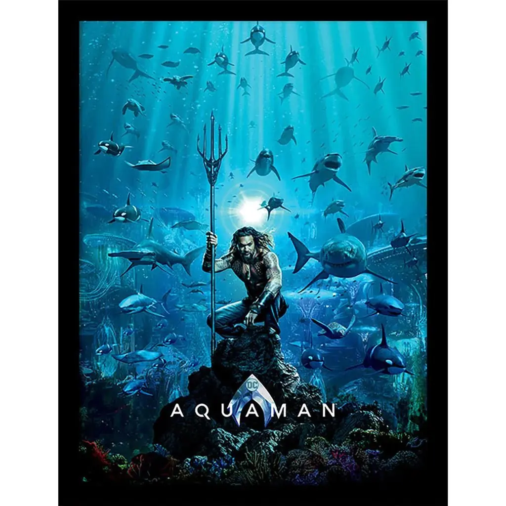 DC Comics Aquaman Innrammet Bilde 30 x 40 cm