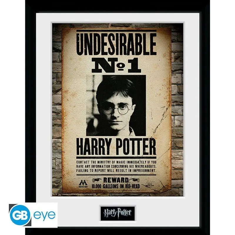 Harry Potter Innrammet Bilde 30 x 40 cm Undesirable