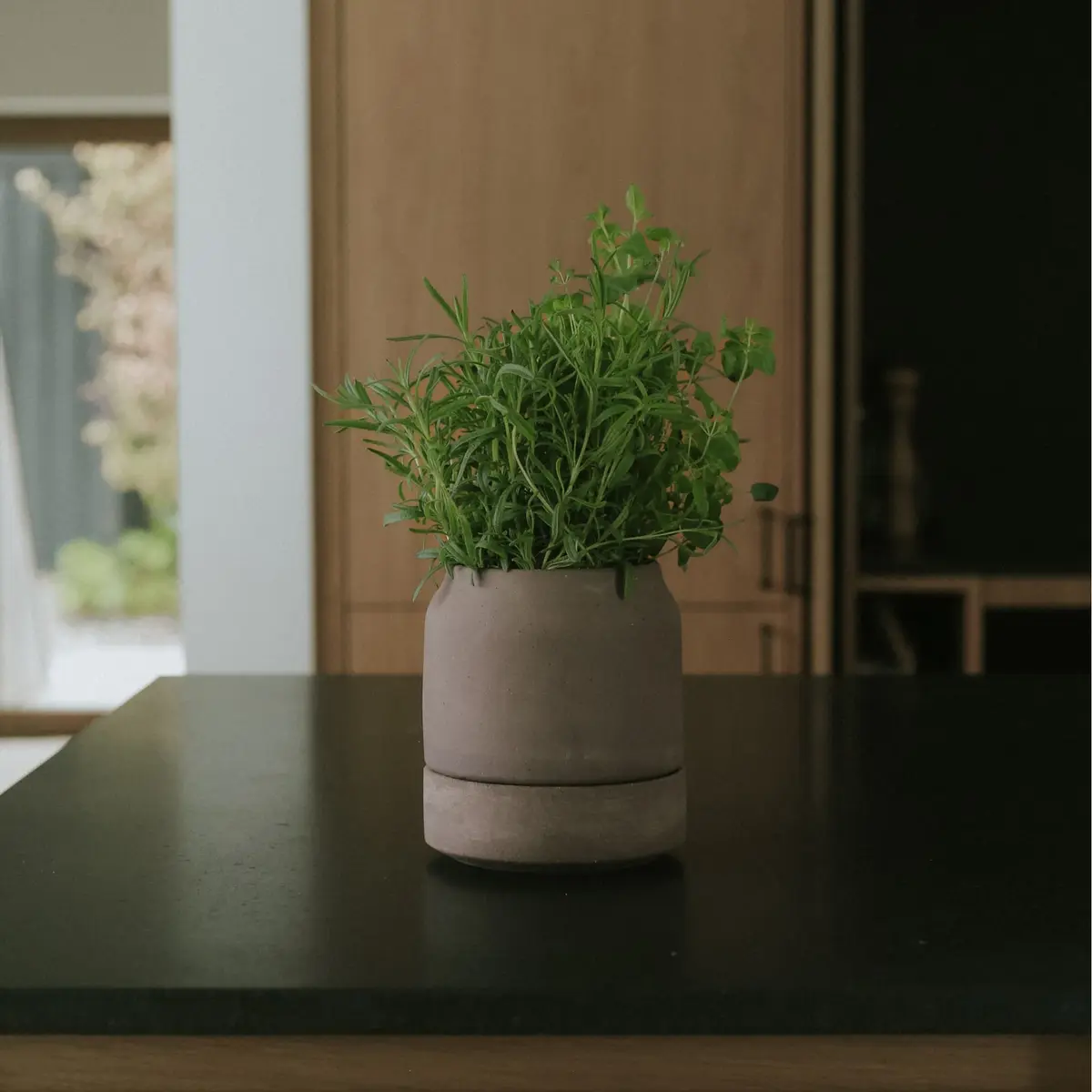 Potte Viva 14 cm