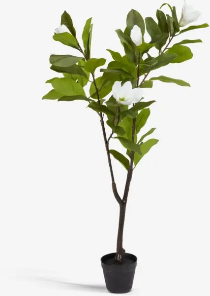 Kunstig plante SPINDEL H120cm magnolia