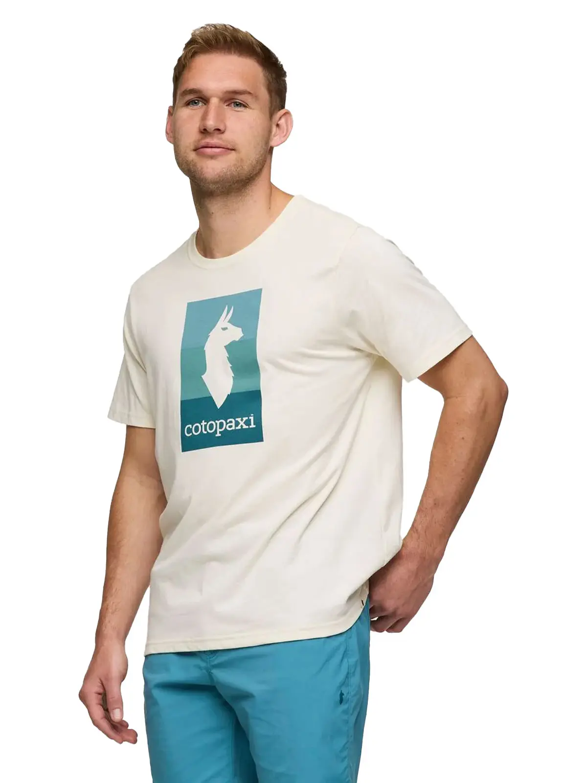 Llama Block T-skjorte (Herre)