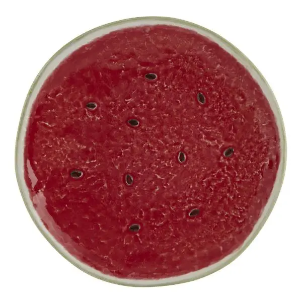 Watermelon fruktallerken 21 cm rød