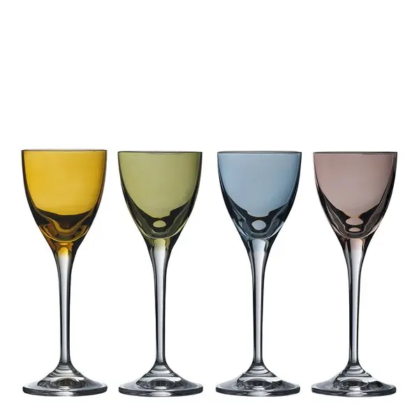 Joyful snapsglass 6 cl 4 stk klar