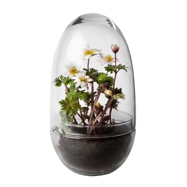 Grow urtepotte medium