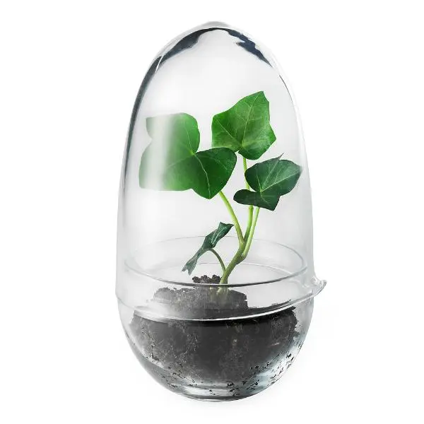 Grow urtepotte liten