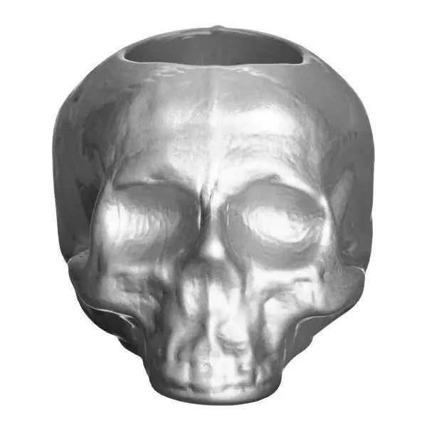 Still Life Skull lyslykt sølv