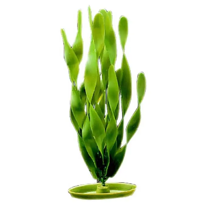Plastplante Jungle Vallisneria - Hele Norges Dyrebutikk
