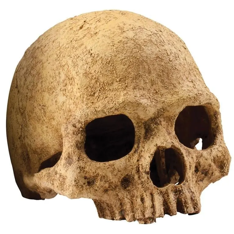 Grotte Hodeskalle Exoterra 15x15x15cm Dødninghode - Hele Norges Dyrebutikk
