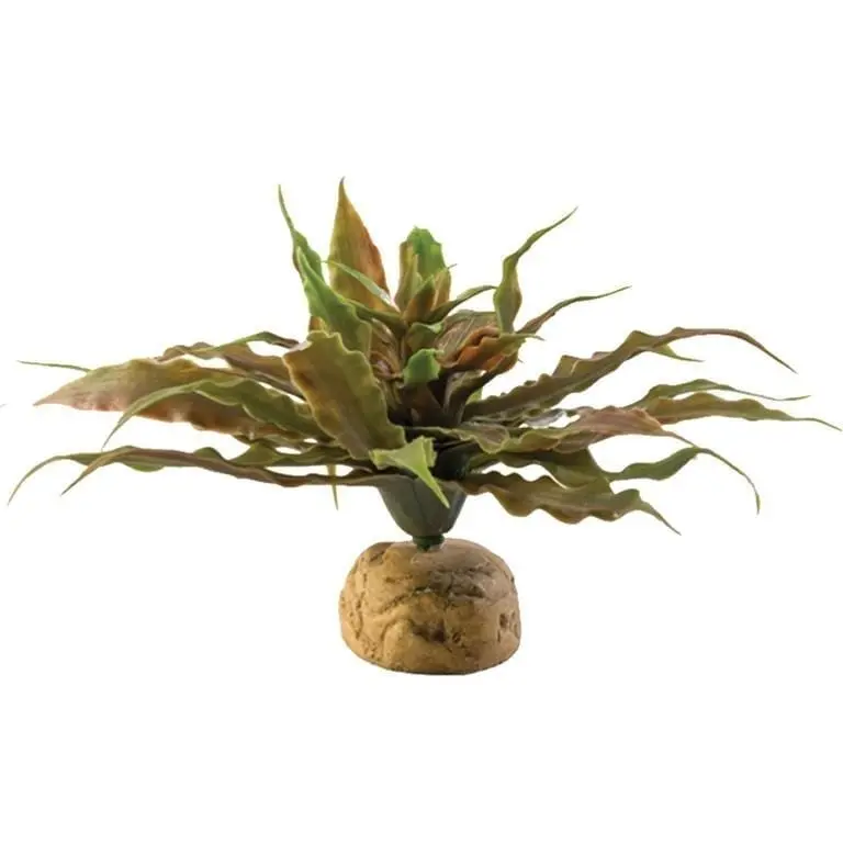 Exo Terra Stjernekaktus 23x23x11cm - Hele Norges Dyrebutikk