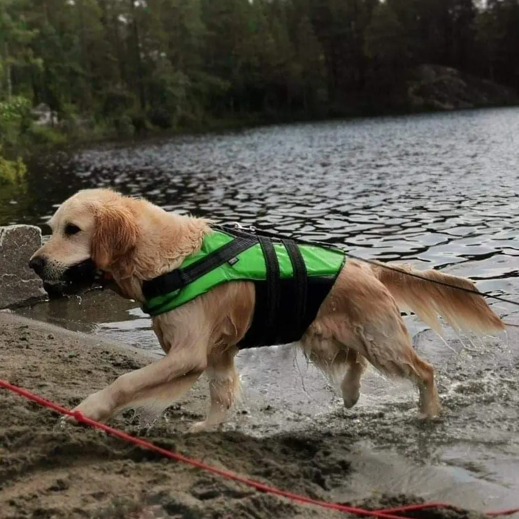 Rukka Flytevest Redningsvest Hund - Hele Norges Dyrebutikk