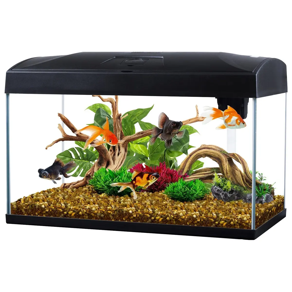Sealand Rect Aquarium 54ltr, uten varmeelement - Hele Norges Dyrebutikk