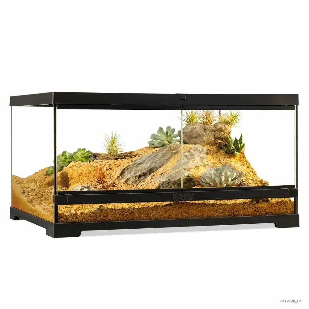 Terrarium Exo terra Medium Low 60x45x30cm - Hele Norges Dyrebutikk