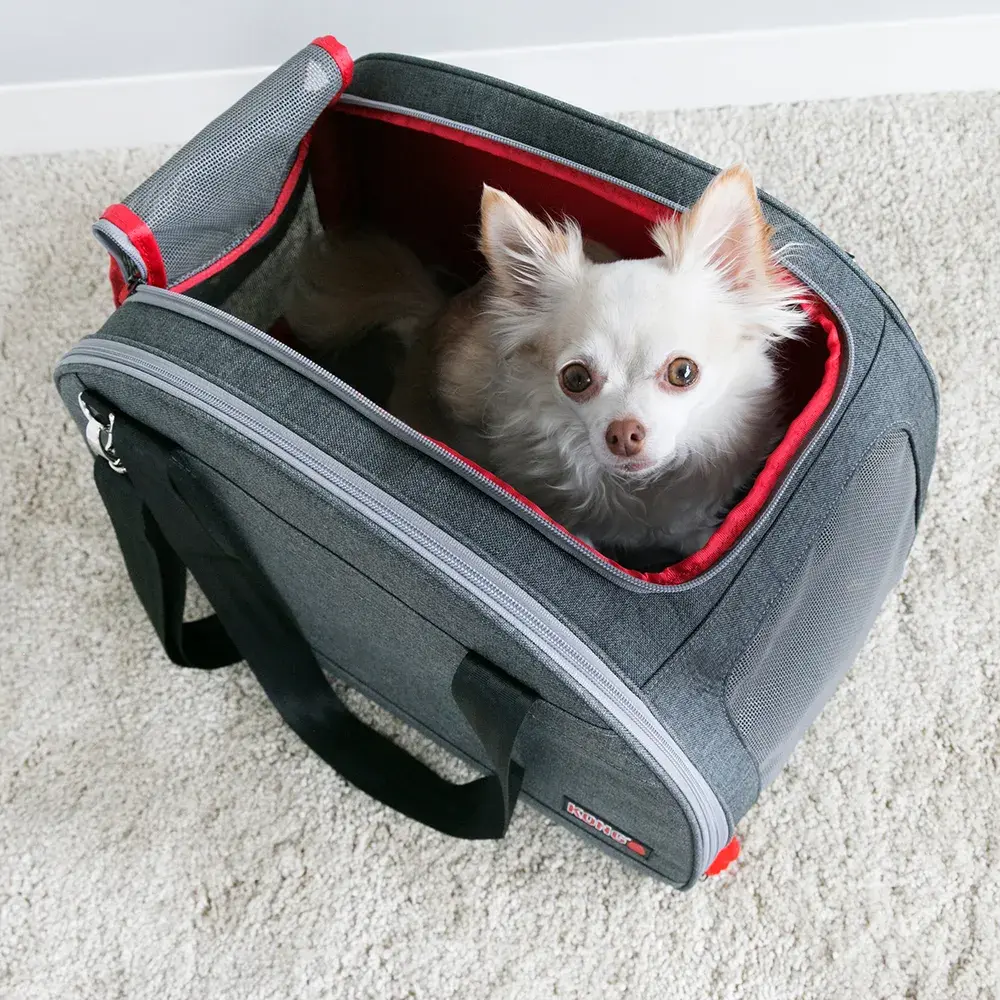 KONG Travel 2‑in‑1 Transportbag og Liggeunderlag - Hele Norges Dyrebutikk