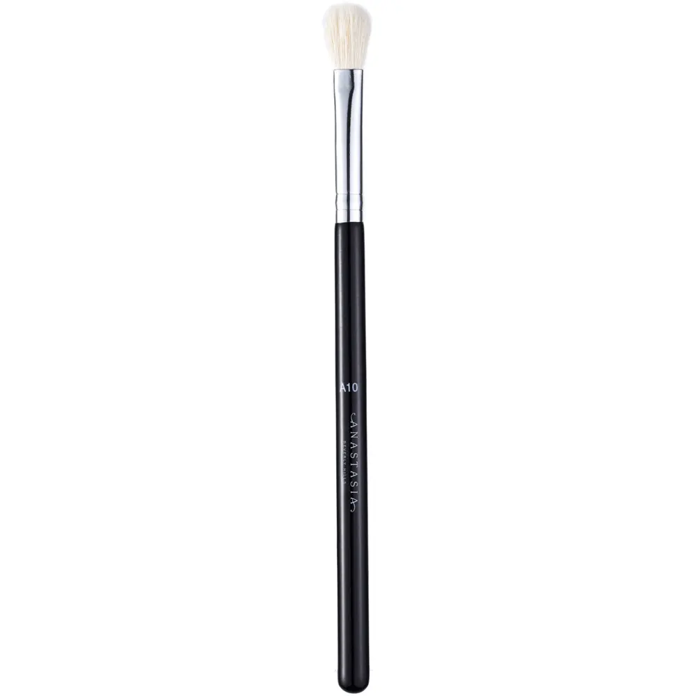 Anastasia Brush A10