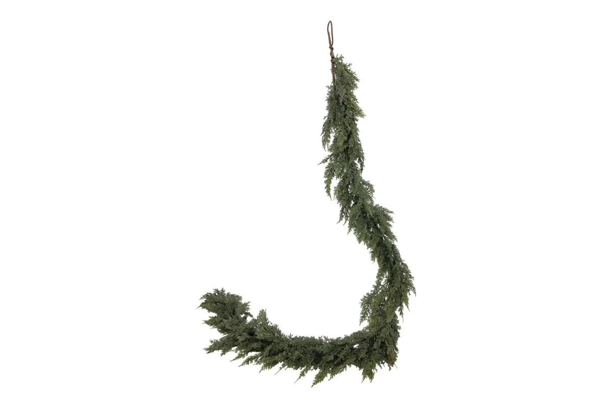 Thuja girlander