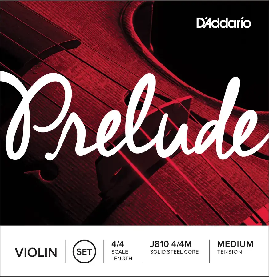 D'Addario J810 4/4M Prelude Violin Set