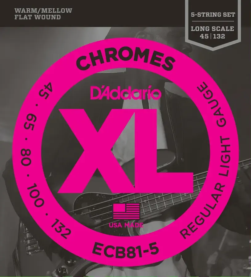 D'Addario ECB81-5 Chromes Bass