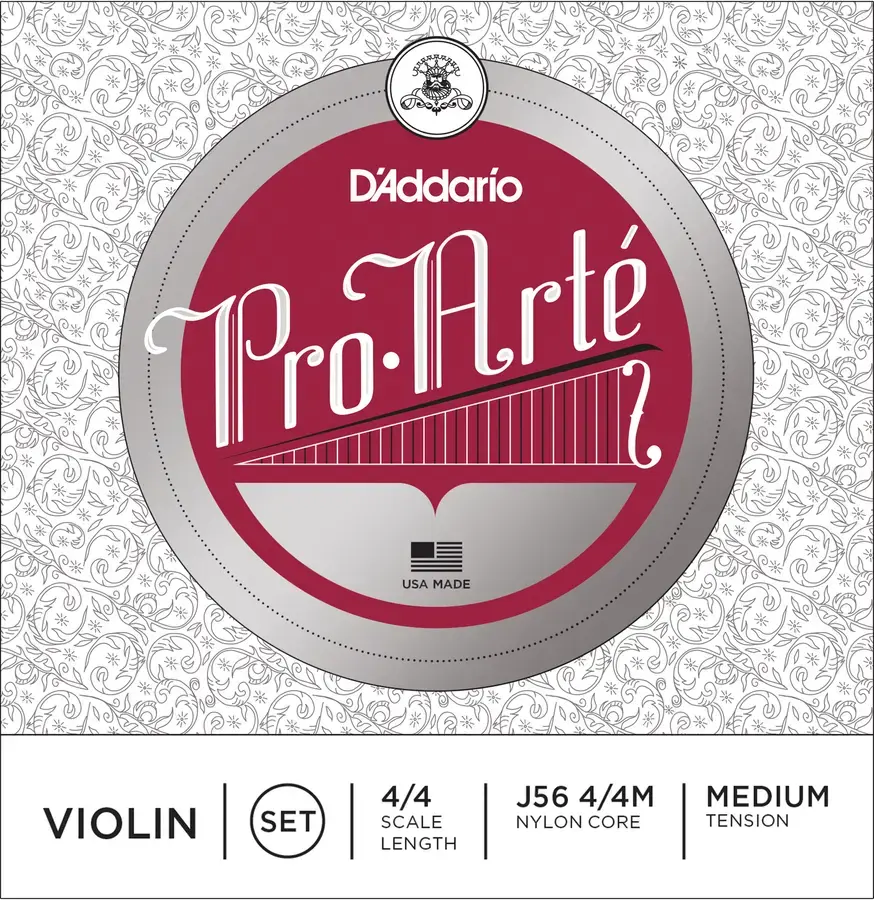 D'Addario J56 4/4M Proarte violin Set