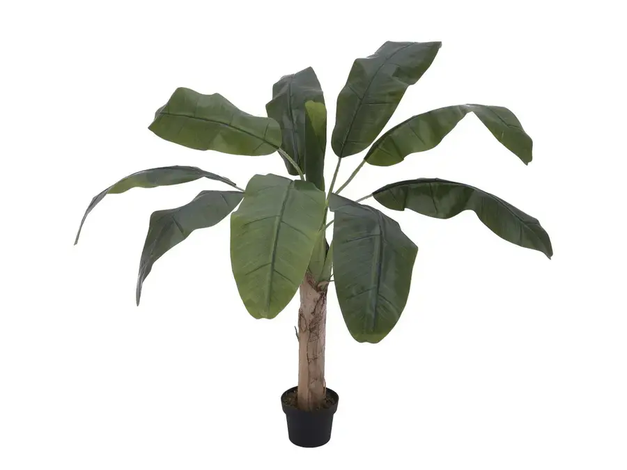 Europalms Banana tree, 100cm