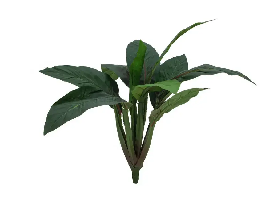 Europalms Sago palm tree, 45cm