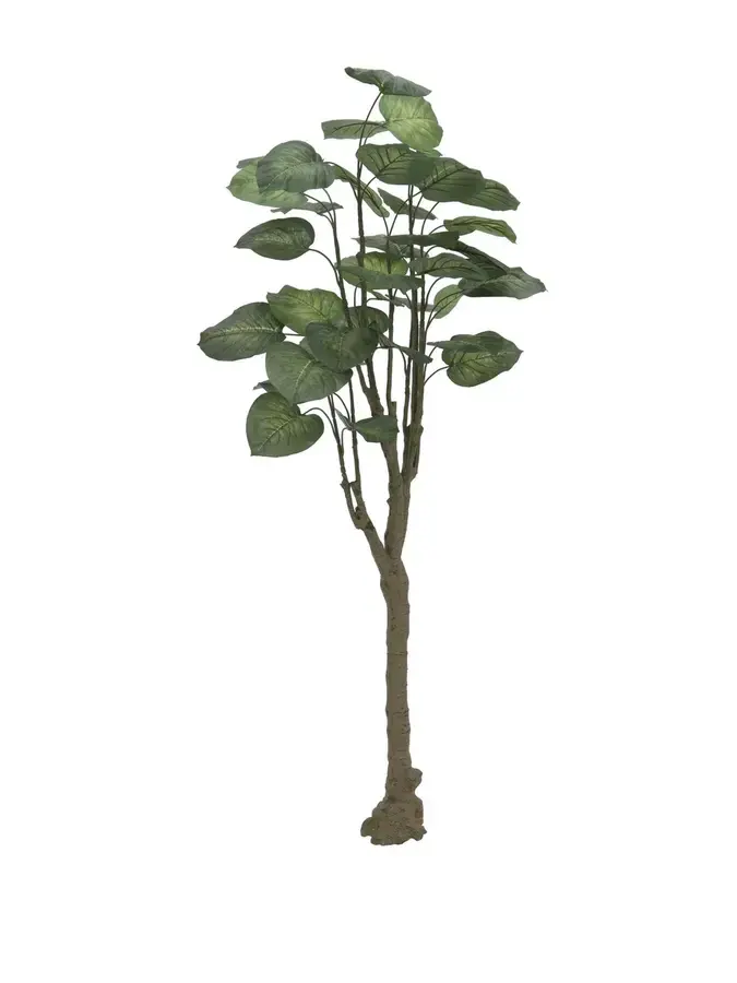 Europalms Pothos tree, 150cm