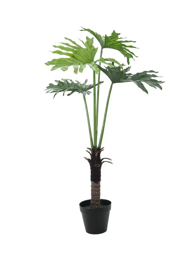 Europalms Split Philo Plant, 120cm
