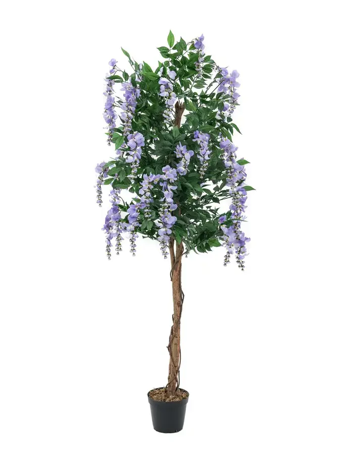 Europalms Wisteria, purple, 150cm