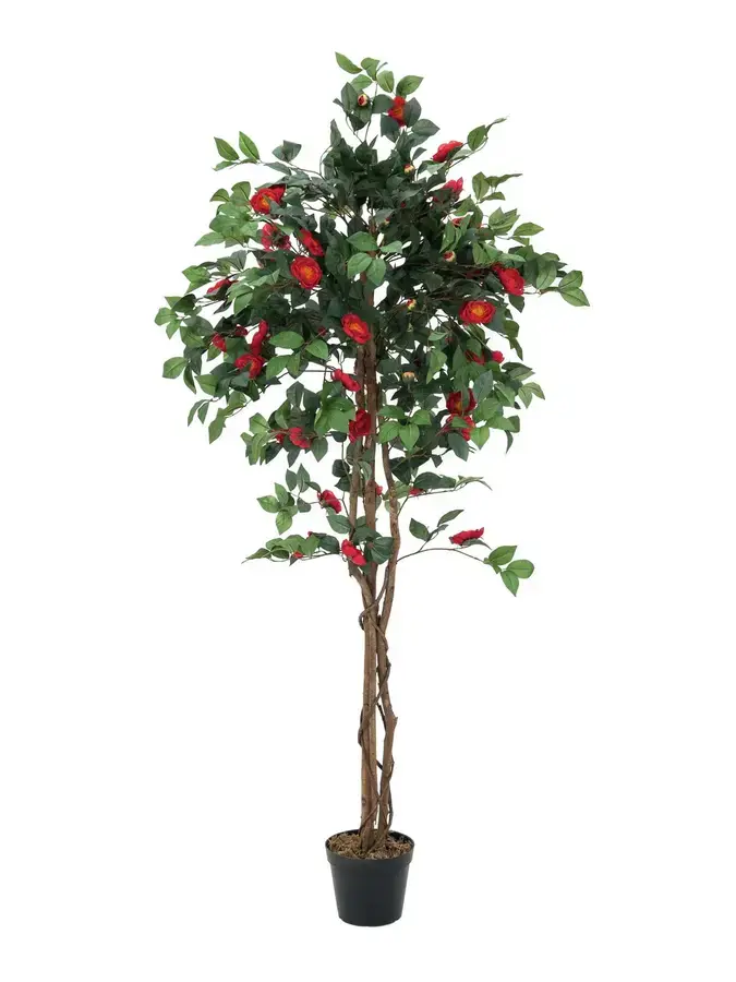 Europalms Camelia red cemented 180cm
