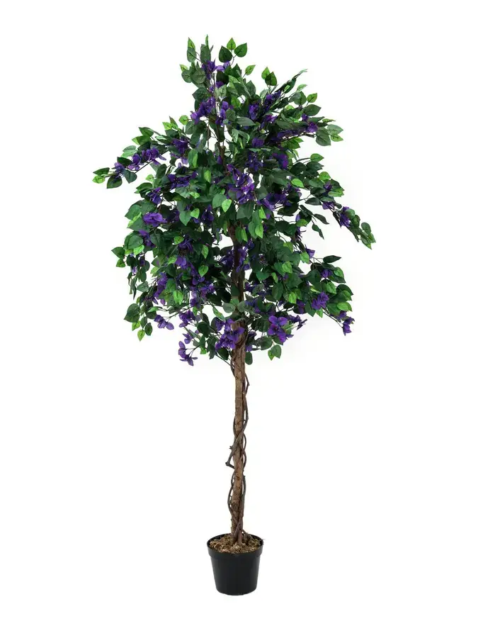 Europalms Bougainvillea, lavender, 180cm