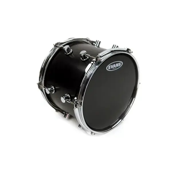Evans TT06RBG 6 Resonant Black