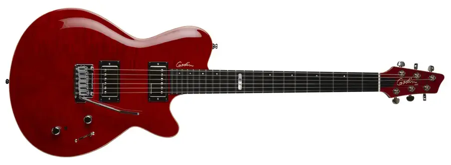 Godin DS-1 Daryl Stuermer Signature