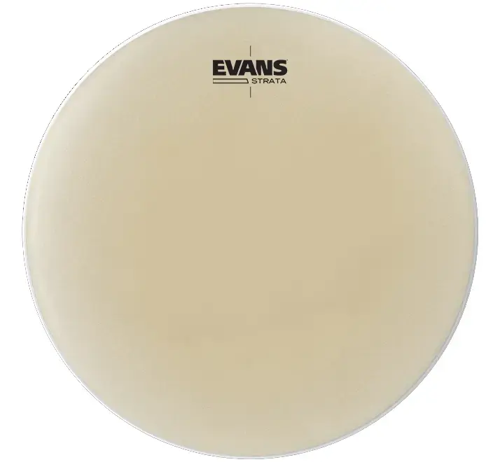 Evans EST20 Timpani Head 20