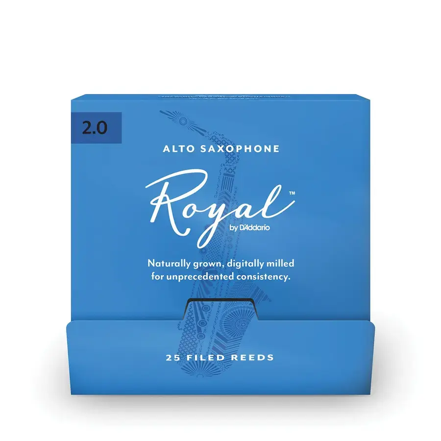 D'addario RJB0120-B25 Flis Alt-sax