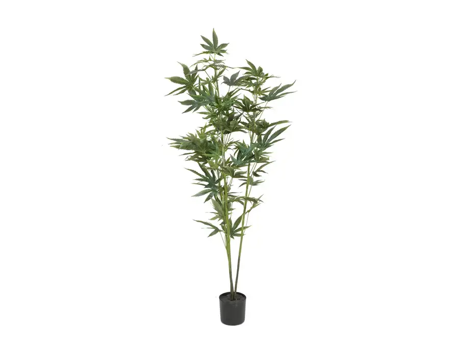 EUROPALMS Hamp plante, kunstig, 120cm