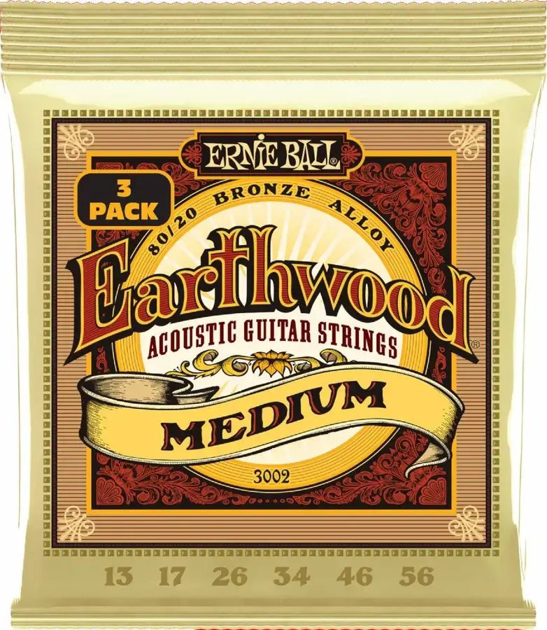 Ernie Ball EB-3002 Earthwood 80/20