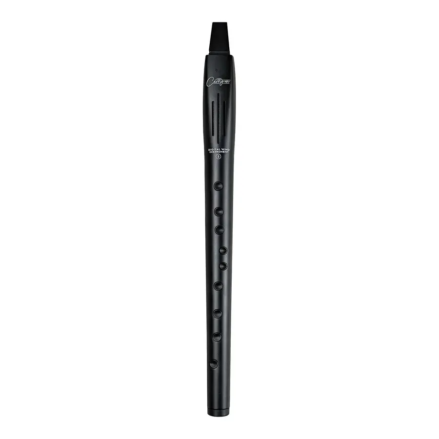 Blackstar Carry On DWI2-BK