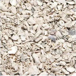 Muslingshell 15kg - fuglebutikken.no