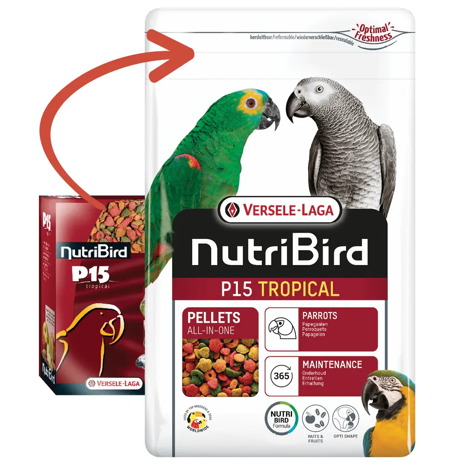 NutriBird P 15 tropical 3 kg