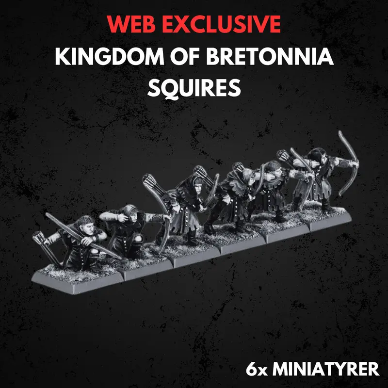 Kingdom of Bretonnia Squires Command