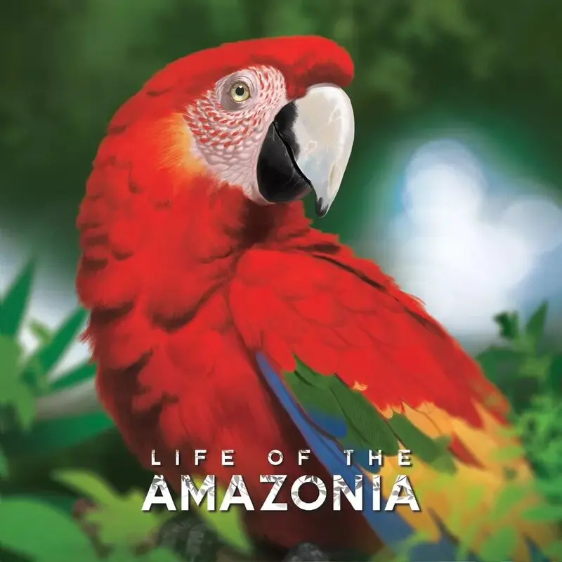 Life of the Amazonia Brettspill