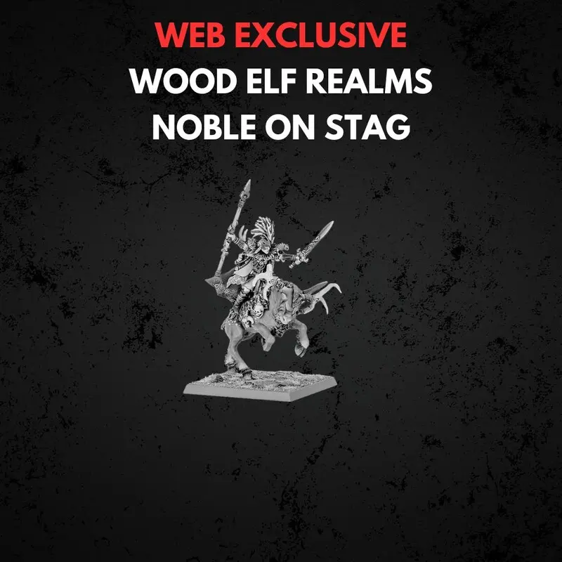 Wood Elf Realms Noble on Forest Dragon