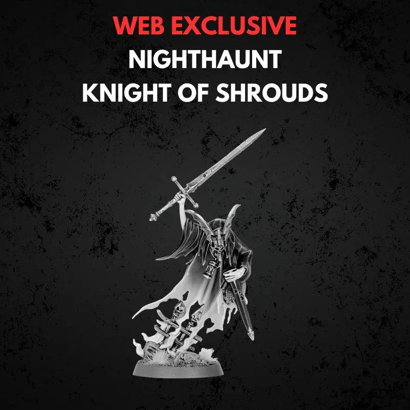 Nighthaunt Knight of Shrouds